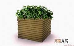 花桶的搭配知识和保养方法