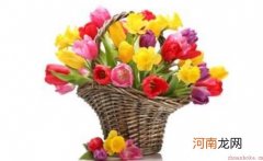 花篮的清洁方法和搭配技巧
