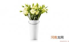 花壶瓶的保养方法和搭配技巧