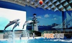 武汉海昌极地海洋世界夜场几点关门 武汉海昌极地海洋世界夜场可以现场买票