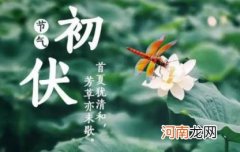 2022年7月几号入头伏 2022年初伏是7月几号