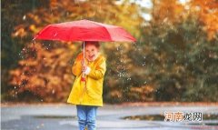 让雨伞长寿从科学保养开始 雨伞去污有诀窍