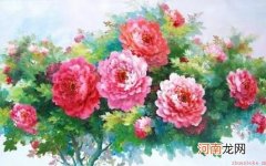 彩画壁画的搭配技巧和保养方法