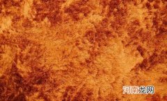 地毯应该如何清洗与保养