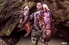 世界上最大的虾是什么虾图片 世界上最大的虾