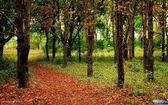 qq动态发什么说说好 qq动态说说大全