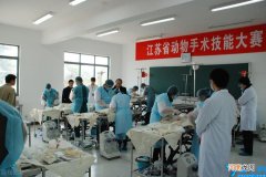分享5所高职院校号称专科中的985 中国最好的专科学校有几所
