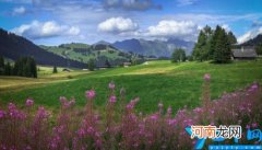 SUI瑞士全称 suit意大利