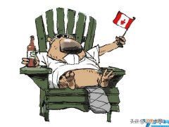 加拿大的标志性动物图片 加拿大的代表性动物是什么动物