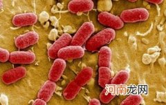 霍乱俗称什么病 中国还有霍乱吗