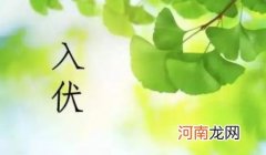 2022年入伏是早上还是晚上 2022年入伏是上午还是下午