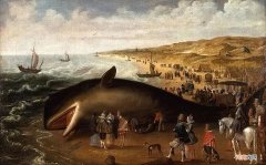 鲸鱼为什么会搁浅海滩 鲸鱼为什么会搁浅