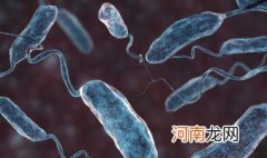 霍乱病中医能治好吗 中医为什么没能治霍乱