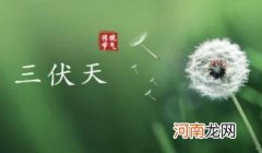 2022年三伏天哪一伏最热 2022年三伏天几伏最热