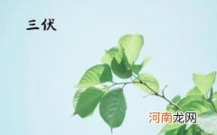 2022年伏前解毒什么时间 2022年三伏天伏前解毒什么时候开始