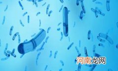 霍乱的特点有哪些 霍乱病死率是多少