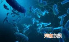 霍乱谁发现的 霍乱为什么是甲类传染病