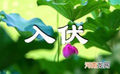 2022年从什么节气开始数伏 2022年入伏在什么节气