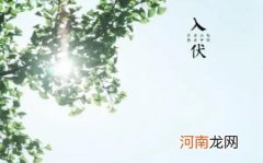 2022年入伏几点几分晚上还是早上 2022年三伏天几点入伏