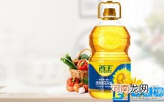 pindd拼多多老板 拼多多创始人是哪里人