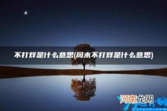 不打烊是什么意思 快乐店铺永不打烊是什么意思