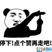 张婴音是谁 张婴音的资料