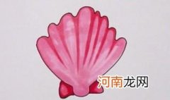 贝壳简笔画教程 贝壳怎么画