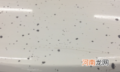 汽车上水泥浆干了怎么清除