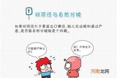 双顶径的发育标准 双顶径是什么意思