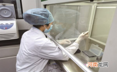 核酸检测48小时算分钟吗