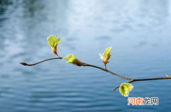 躲春过了12点就可以出门了吗