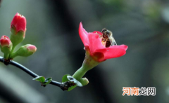 躲春的时候可以做针线活吗