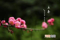 躲春可以听歌吗