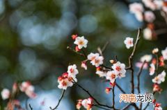 躲春可以几个人一起躲吗