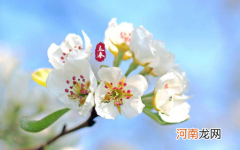 躲春自己家人也要避开吗