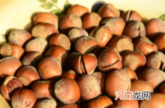 开口榛子是生的还是熟的