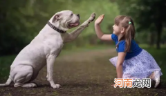 2023年生兔宝宝好不好