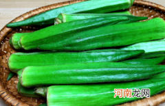 秋葵可以带籽吃吗