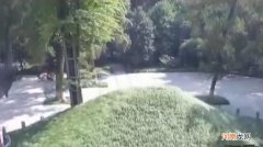 诸葛亮大墓在哪里发现 诸葛亮的墓地在哪里