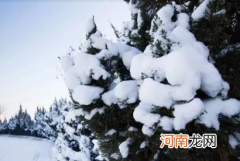 2022大寒节气前后喝腊八粥吗