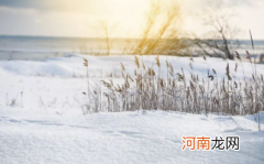 小寒下雪有什么说法2022