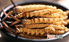 虫草怎么吃最好
