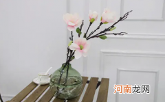 花瓶里的花怎么养