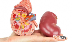 体检肾结晶但是没有症状怎么回事