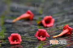 2022苏州秋冬雨水多吗