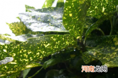 2022年上海梅雨季节热吗