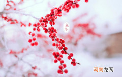 立冬过了12点可以回娘家吗