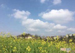 五一过完了朋友圈说说