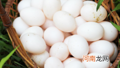 鸽子蛋煮出来是绿色怎么回事呢