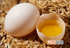 鸽子蛋煮熟了是软的吗